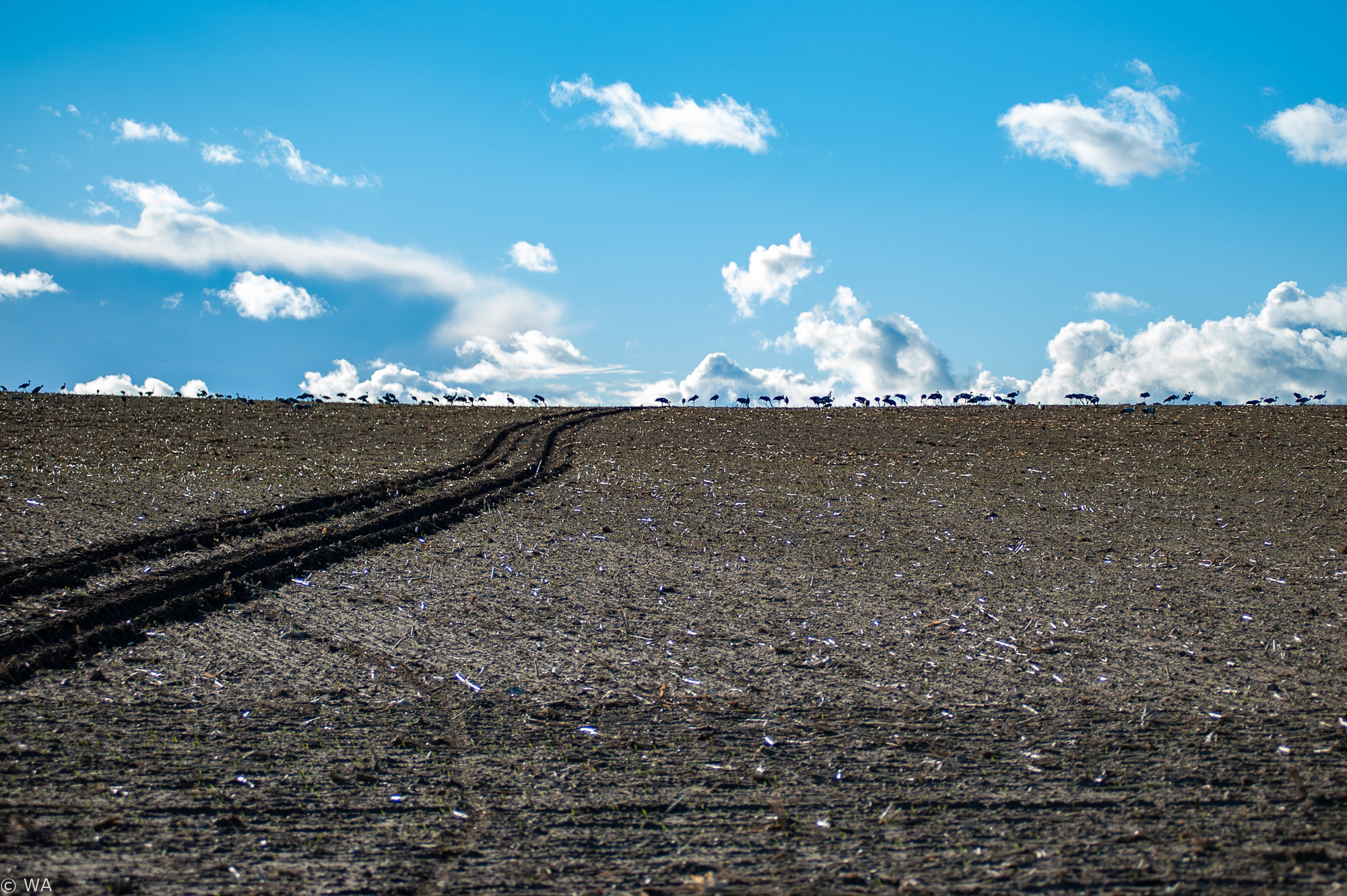 Landschaften-Wasser_5